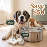 A Saint Bernard dog sits behind a stainless steel pet water bowl with running water, alongside LifePaw hydration additive packaging, a dropper bottle, and filter pads. Promotional text reads 'Save $50' and 'FREE Hydration Additive' and 'FREE 2-Pack Filters'.